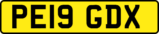 PE19GDX