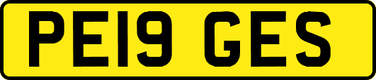 PE19GES