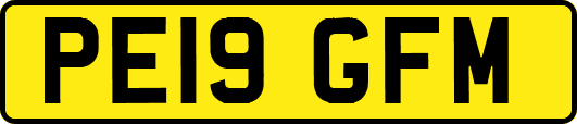 PE19GFM