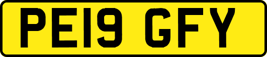 PE19GFY