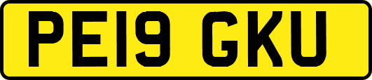 PE19GKU