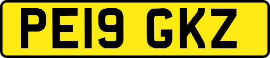 PE19GKZ