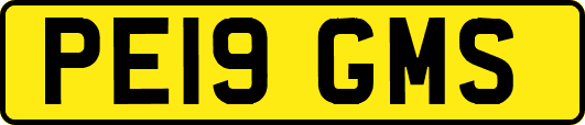PE19GMS