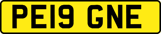 PE19GNE