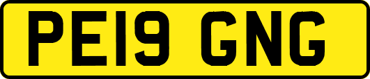 PE19GNG