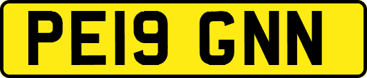 PE19GNN