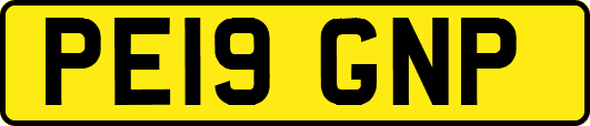 PE19GNP