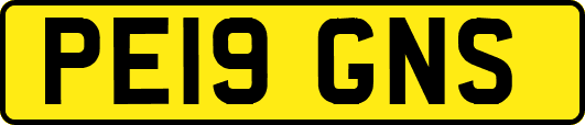 PE19GNS