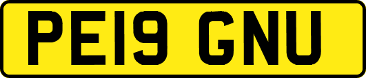 PE19GNU
