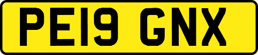 PE19GNX