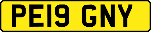 PE19GNY