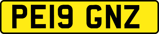 PE19GNZ