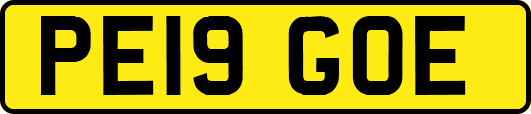 PE19GOE