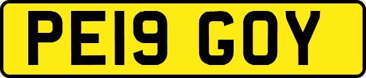PE19GOY
