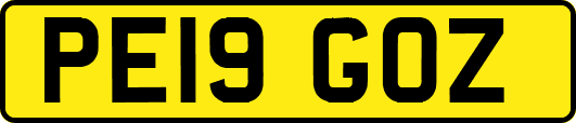 PE19GOZ