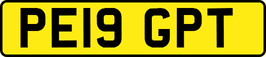 PE19GPT