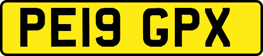 PE19GPX