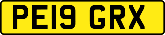 PE19GRX