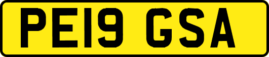 PE19GSA