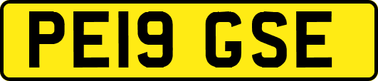 PE19GSE