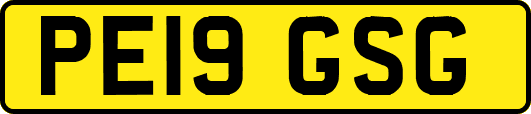 PE19GSG