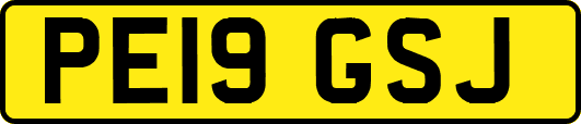 PE19GSJ