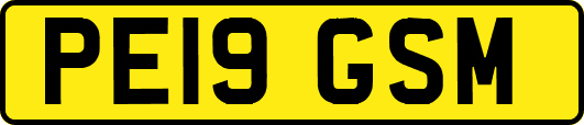 PE19GSM