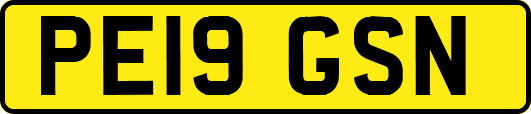 PE19GSN