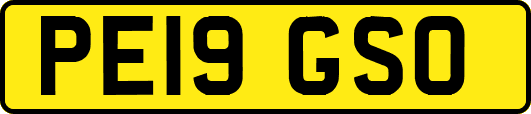 PE19GSO