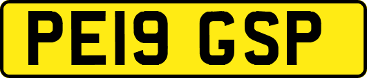 PE19GSP
