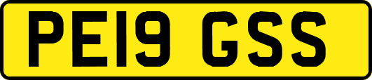 PE19GSS