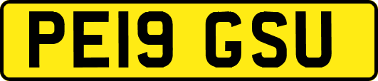 PE19GSU