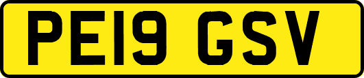 PE19GSV