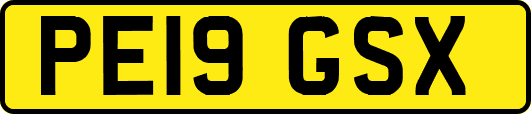 PE19GSX