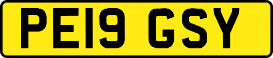 PE19GSY