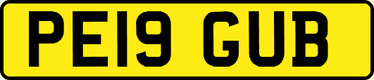 PE19GUB