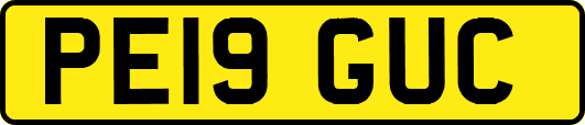 PE19GUC