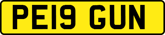 PE19GUN