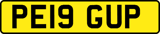 PE19GUP
