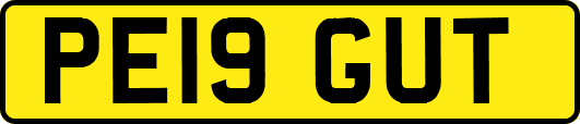 PE19GUT