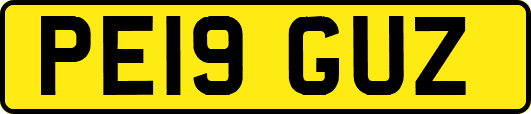 PE19GUZ