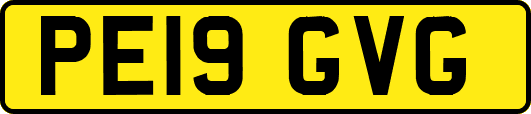 PE19GVG