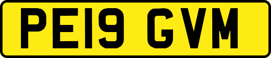 PE19GVM
