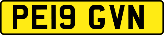 PE19GVN