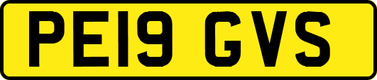PE19GVS