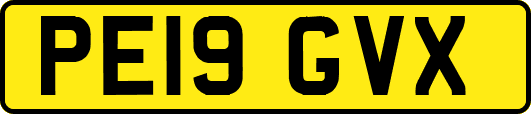 PE19GVX