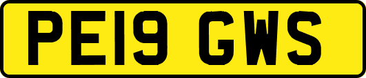 PE19GWS