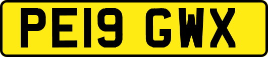 PE19GWX
