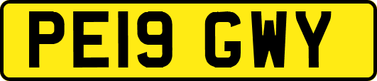 PE19GWY