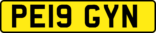PE19GYN